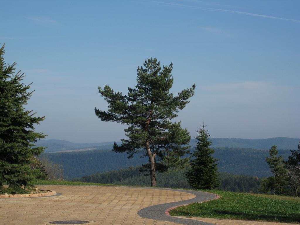 Pensjonat Orle Krynica-Zdrój